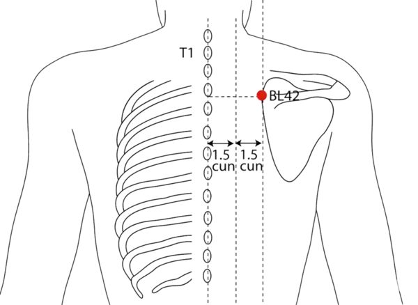 BL-42 - Door of the Po Acupoint Location illustration for 3 cun lateral to the lower border of the spinous process of T3 (third thoracic vertebra), level with BL-13.