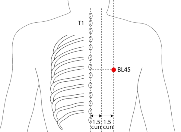 BL-45 - Yi Xi Acupoint Location illustration for 3 cun lateral to the lower border of the spinous process of T6 (sixth thoracic vertebra), level with BL-16.