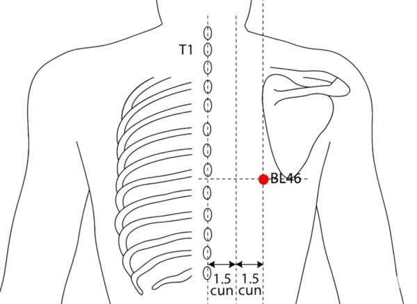 BL-46 - Diaphragm Pass Acupoint Location illustration for 3 cun lateral to the lower border of the spinous process of T7 (seventh thoracic vertebra), level with BL-18.