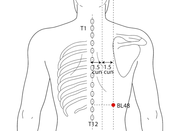 Location illustration for 3 cun lateral to the lower border of the spinous process of T10 (tenth thoracic vertebra), level with BL-19.