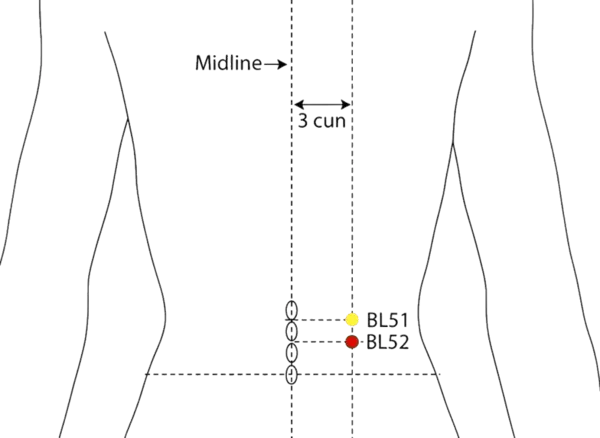 BL-52 - Will Chamber Acupoint Location illustration for 3 cun lateral to the lower border of the spinous process of L2 (second lumbar vertebra), level with BL-23.
