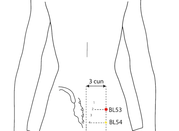 BL-53 - Bladder's Vitals Acupoint Location illustration for 3 cun lateral to the second posterior sacral foramen (S2), level with BL-28.