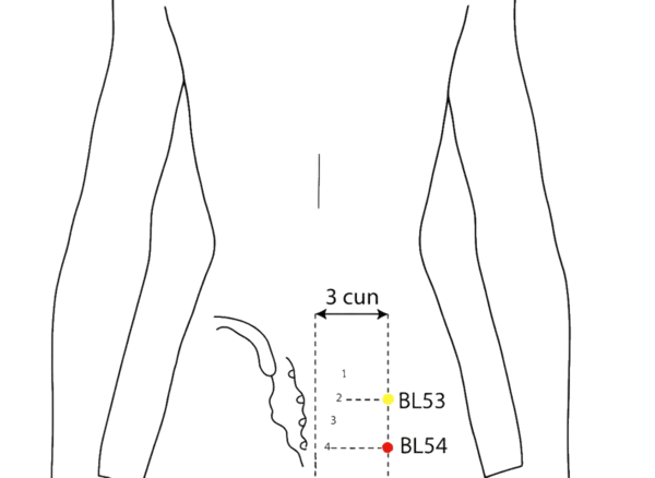 BL-54 - Order's Limit Acupoint Location illustration for 3 cun lateral to the sacral hiatus, level with the fourth posterior sacral foramen (S4).