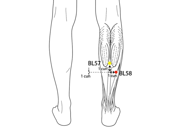 Location illustration for 7 cun directly above BL-60, on the posterior border of the fibula, about 1 cun lateral and inferior to BL-57.