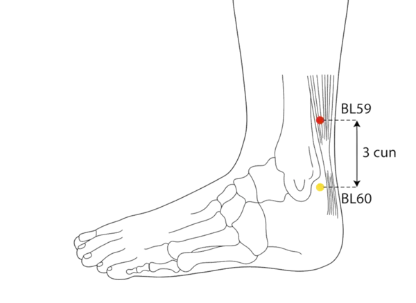 BL-59 - Instep Yang Acupoint Location illustration for 3 cun directly above BL-60, on the posterior border of the fibula.