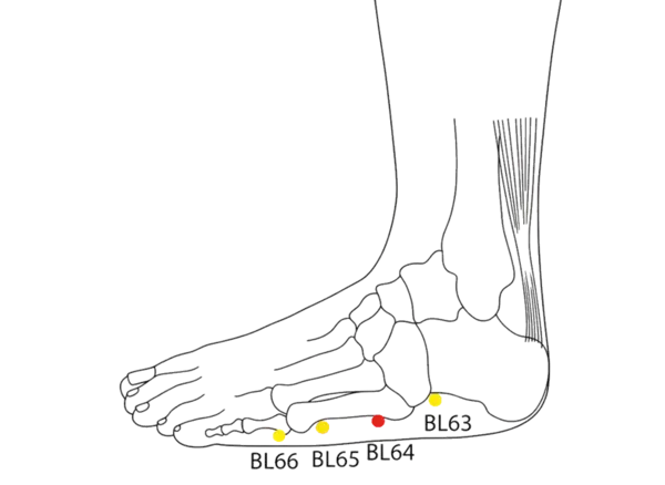 Location illustration for Below the tuberosity of the fifth metatarsal bone, at the junction of the red and white skin.