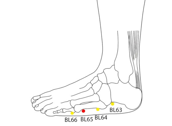 BL-65 - Restraining Bone Acupoint Location illustration for Posterior to the head of the fifth metatarsal bone, at the junction of the red and white skin.