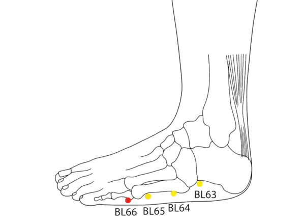BL-66 - Foot Connecting Valley Acupoint Location illustration for Anterior to the fifth metatarsophalangeal joint, at the junction of the red and white skin.
