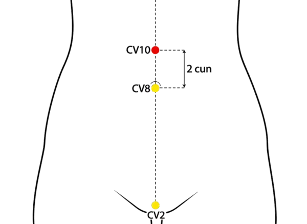 CV-10 - Lower Duct Acupoint Location illustration for On the midline of the abdomen, 2 cun above the umbilicus.
