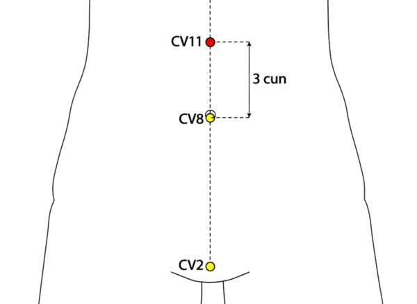 CV-11 - Construction Gate Acupoint Location illustration for On the midline of the abdomen, 3 cun above the umbilicus.
