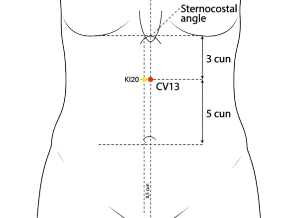 CV-13 - Upper Duct Acupoint Location illustration for On the midline of the abdomen, 5 cun above the umbilicus.