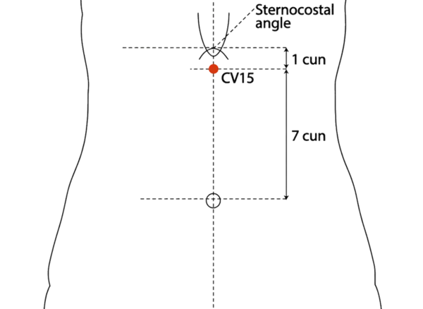 CV-15 - Turtledove Tail Acupoint Location illustration for On the midline of the abdomen, 7 cun above the umbilicus, just below the xiphoid process.