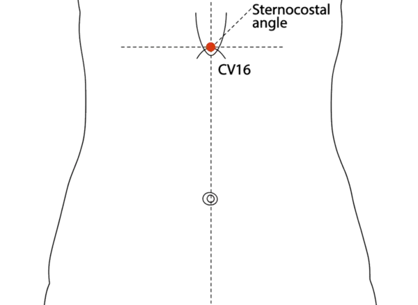 CV-16 - Chest Center Acupoint Location illustration for On the anterior midline of the thorax, at the level of the fifth intercostal space, directly above CV-15.