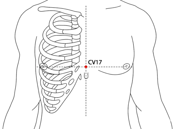 CV-17 - Middle of the Chest Acupoint Location illustration for On the anterior midline of the chest, at the level of the fourth intercostal space, midway between the nipples.