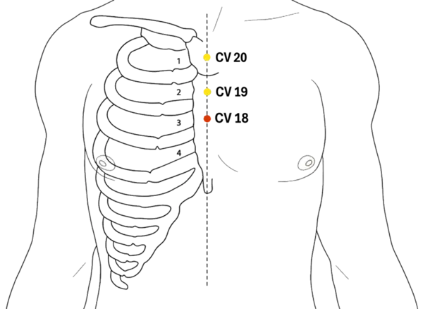 CV-18 - Jade Hall Acupoint Location illustration for On the anterior midline of the chest, at the level of the third intercostal space.