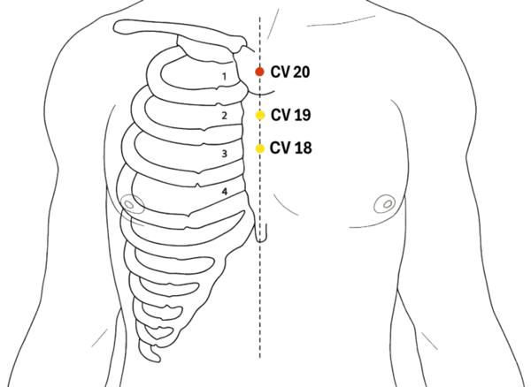 CV-20 - Flower Covering Acupoint Location illustration for On the anterior midline of the chest, at the level of the first intercostal space.