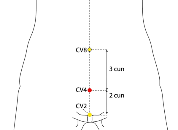 CV-4 - Gate of Origin Acupoint Location illustration for On the midline of the lower abdomen, 3 cun below the umbilicus.