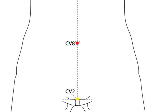 CV-8 - Spirit Gateway Acupoint Location illustration for In the center of the umbilicus.