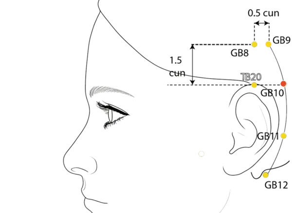 GB-10 - Floating White Acupoint Location illustration for Behind the ear, in the depression posterior to the mastoid.