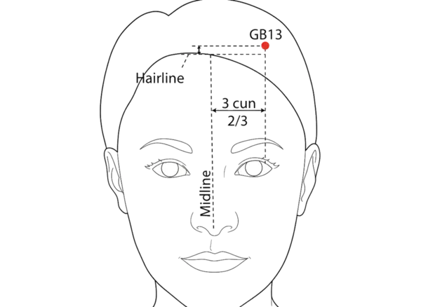 GB-13 - Spirit Root Acupoint Location illustration for On the forehead, 0.5 cun inside the anterior hairline, lateral to GV-24.