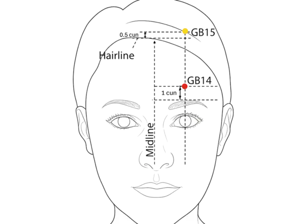 GB-14 - Yang White Acupoint Location illustration for On the forehead, above the eyebrow, in line with the pupil.