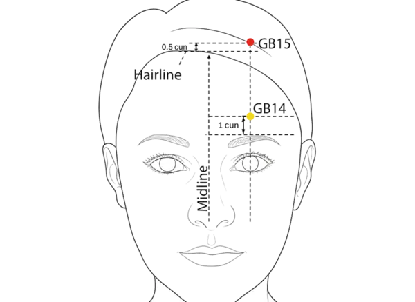 GB-15 - Head Governor of Tears Acupoint Location illustration for On the forehead, 0.5 cun above the anterior hairline, in line with the pupil.