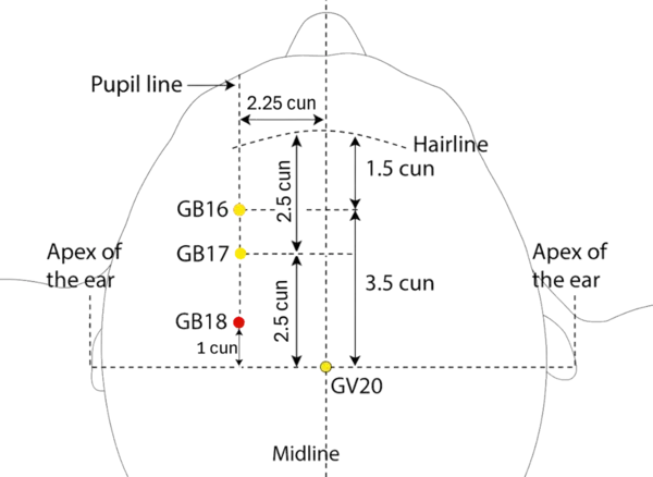 GB-18 - Support Spirit Acupoint Location illustration for On the scalp, posterior to GB-17, in line with the pupil.