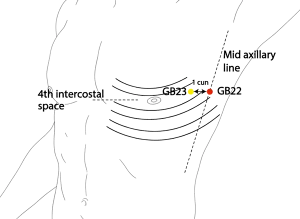 GB-22 - Armpit Abyss Acupoint Location illustration for On the lateral chest wall, in the 4th intercostal space, below the axilla.
