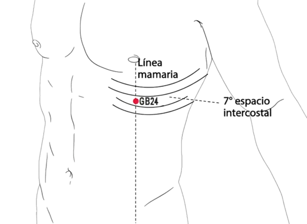 GB-24 - Sun and Moon Acupoint Location illustration for On the chest, in the 7th intercostal space, below the breast.