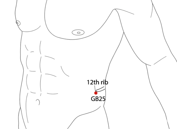 GB-25 - Capital Gate Acupoint Location illustration for Located at the tip of the 12th rib, often palpable in thin individuals.