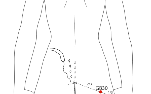 GB-30 - Jumping Circle Acupoint Location illustration for On the buttock, in the depression when standing or lying prone.