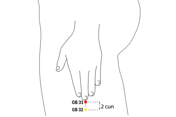 GB-31 - Wind Market Acupoint Location illustration for On the lateral thigh, where the fingertips touch when standing with arms at the sides.