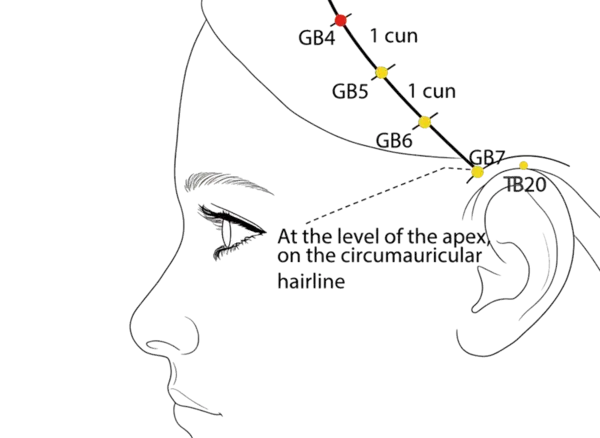 Location illustration for On the temporal side of the head, in the depression anterior to GB-5.