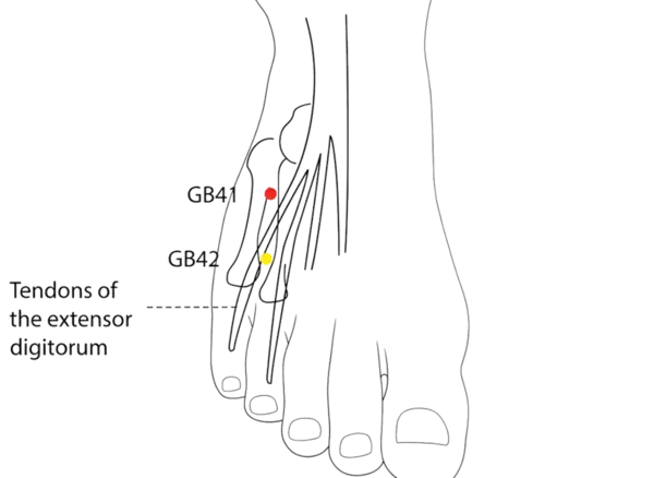 GB-41 - Foot Governor of Tears Acupoint Location illustration for On the dorsum of the foot, in the depression between the 4th and 5th metatarsals.