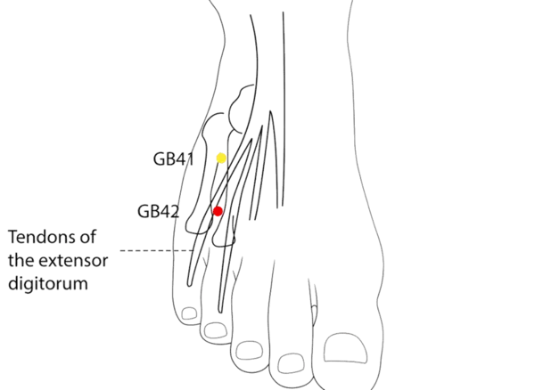 GB-42 - Earth Five Meetings Acupoint Location illustration for On the dorsum of the foot, between GB-41 and GB-43.