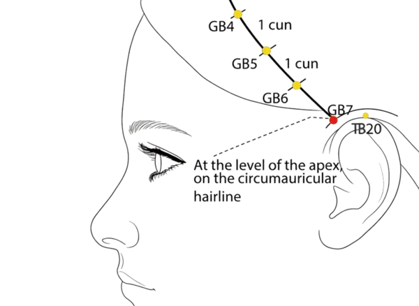 GB-7 - Temporal Hairline Curve Acupoint Location illustration for In the temporal region, within the hairline, anterior and superior to the ear.