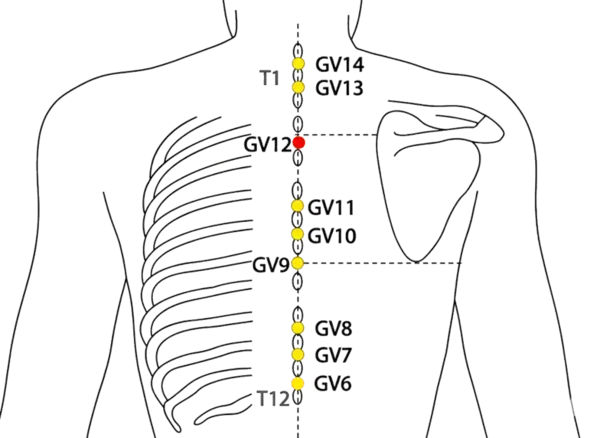 GV-12 - Body Pillar Acupoint Location illustration for On the posterior midline, in the depression below T3.
