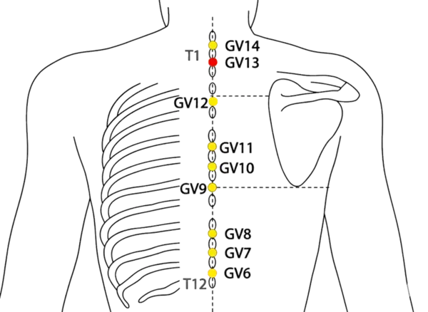Location illustration for On the posterior midline, in the depression below T1.