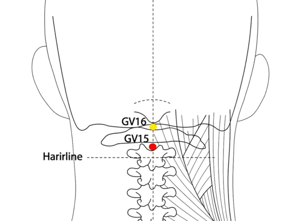 GV-15 - Gate of Muteness Acupoint Location illustration for On the midline of the nape, in the depression below C1, between the trapezius muscles.