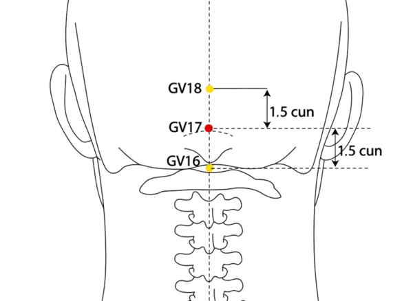 Location illustration for On the posterior midline, 1.5 cun superior to the external occipital protuberance.