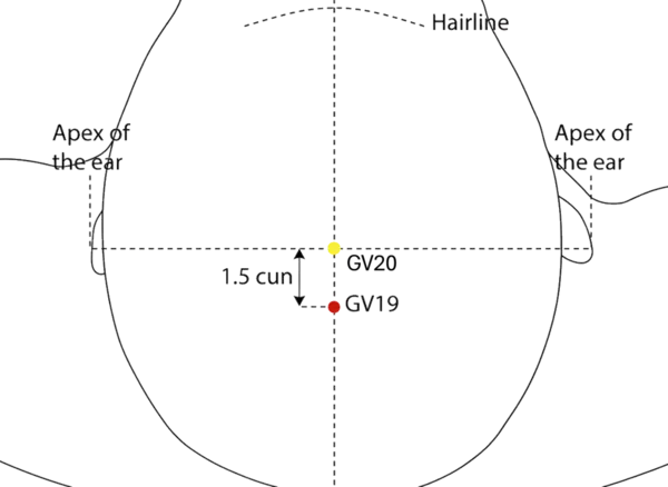 GV-19 - Behind the Crown Acupoint Location illustration for On the posterior midline of the scalp, 1.5 cun superior to GV-18.