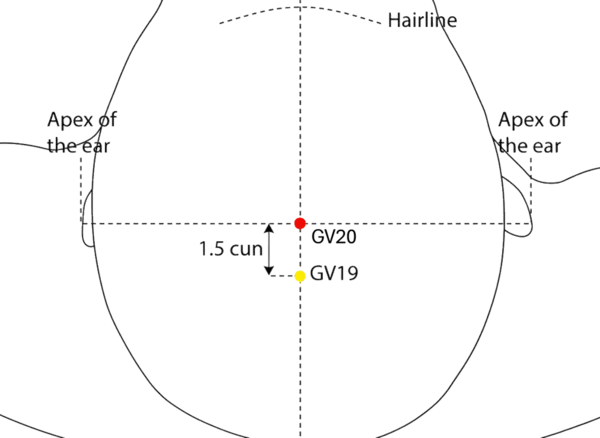 Location illustration for On the midline of the scalp, at the intersection of a line connecting the apexes of both ears.