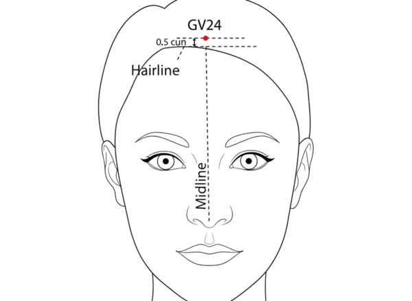 Location illustration for On the midline of the scalp, 0.5 cun posterior to the anterior hairline.