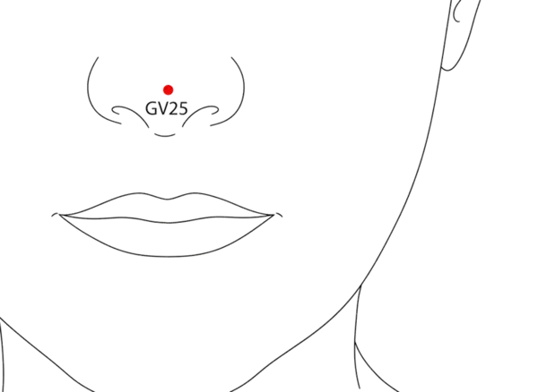 GV-25 - Nose Tip Acupoint Location illustration for At the apex of the nose, where the nasal bones meet the cartilage.