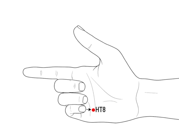 Location illustration for On the palm, between the fourth and fifth metacarpal bones, where the tip of the little finger rests when a fist is made.
