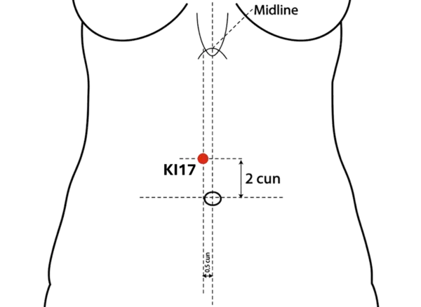 KI-17 - Shang Qu Acupoint Location illustration for On the upper abdomen, level with CV-10.