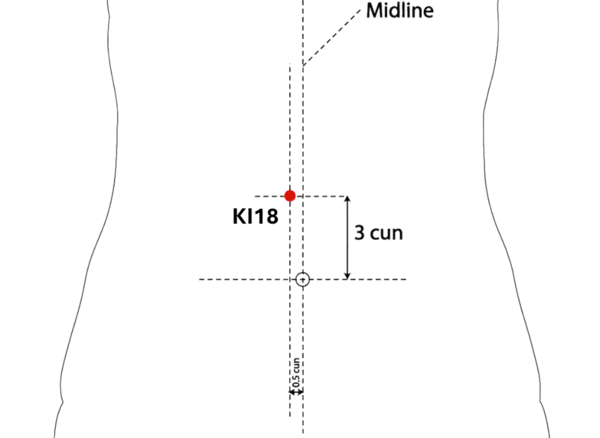 KI-18 - Stone Pass Acupoint Location illustration for On the upper abdomen, level with CV-11.