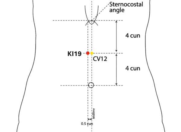 KI-19 - Yin Metropolis Acupoint Location illustration for On the upper abdomen, level with CV-12.