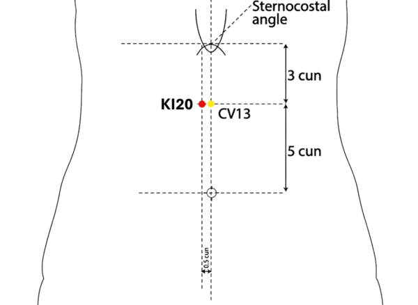 KI-20 - Abdominal Lifting Acupoint Location illustration for On the upper abdomen, level with CV-13.