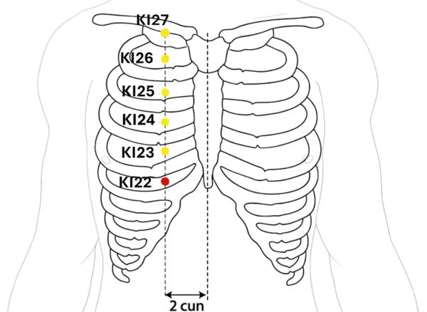 KI-22 - Walking Corridor Acupoint Location illustration for On the chest, level with the 5th intercostal space, lateral to the sternum.